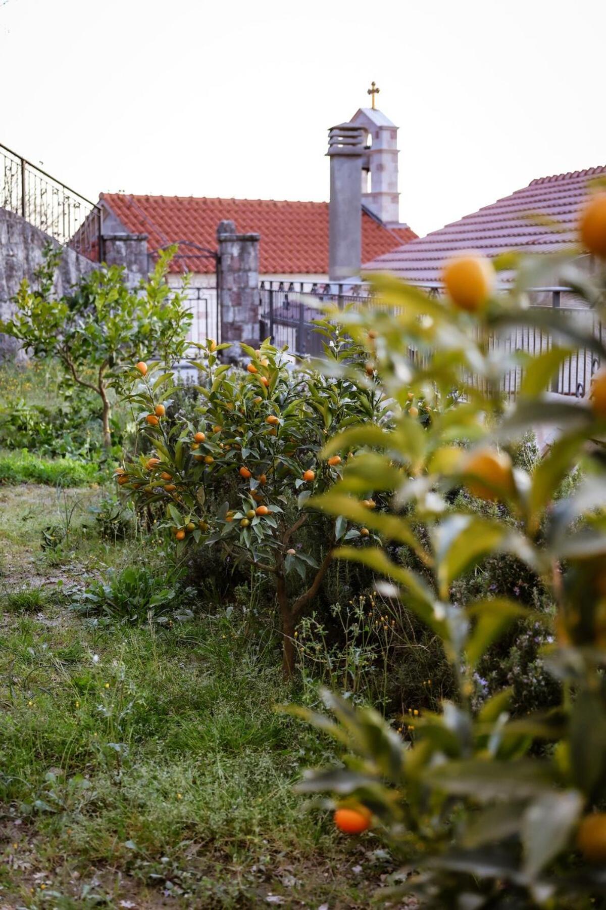Villa Mia Κότορ Εξωτερικό φωτογραφία